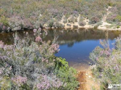 Parque Natural del Valle de Alcudia y Sierra Madrona; rutas senderismo en madrid mochila porta niños